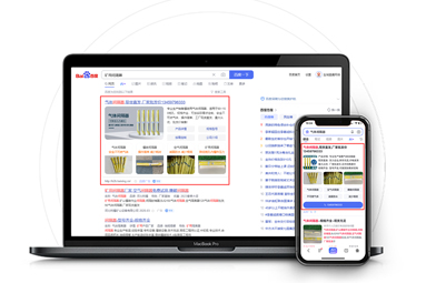 <strong>百度競價包年</strong>